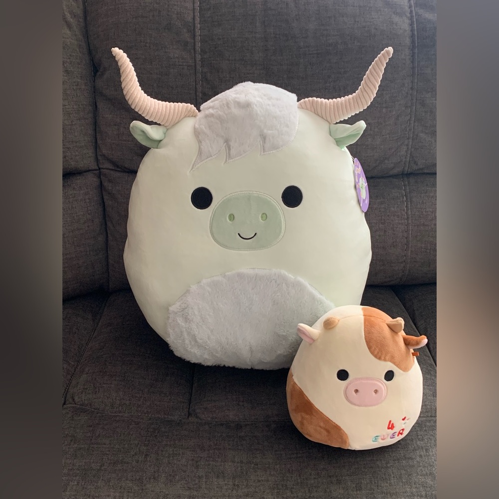 16” Iver the Highland Cow & Ronnie bundle